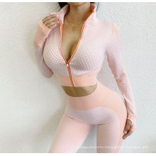 Gym Wear Ombre Long Sleeve Shirt Crop Top Women Seamless Bra Top with Zip